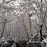 – 杭州西湖雪景·堤 – 杭州西湖雪景·堤