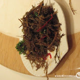 – 鹿角菜 – 鹿角菜