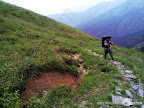 – 高山草甸上的腊酥 – 高山草甸上的腊酥