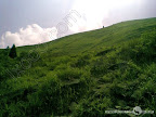 – 九龙山顶的高山草甸 – 九龙山顶的高山草甸