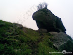 – 高山草甸深处的一块石头 – 高山草甸深处的一块石头