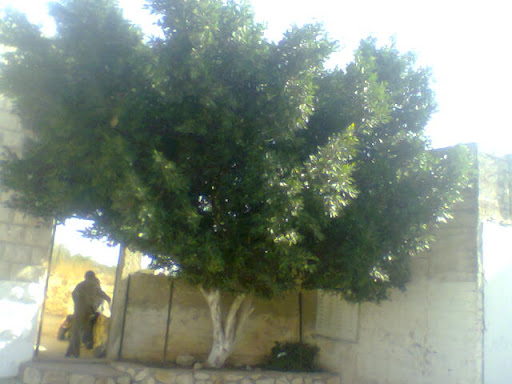 صلاة الجمعة %D8%B5%D9%88%D8%B1%D8%A9008