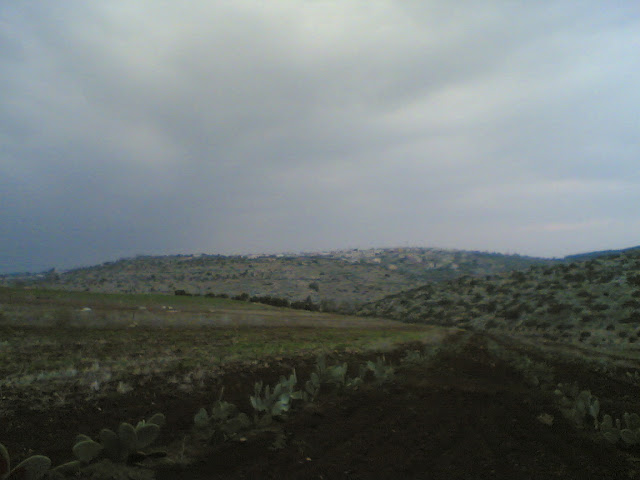 صور من وادي الحداد Sultan%3B%281435%29