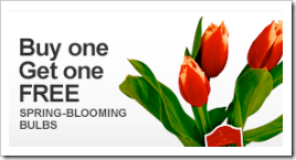 Home Depot BOGO Spring Blooming Bulbs Home Depot BOGO Spring Blooming Bulbs