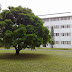 26022009470-a.jpg
