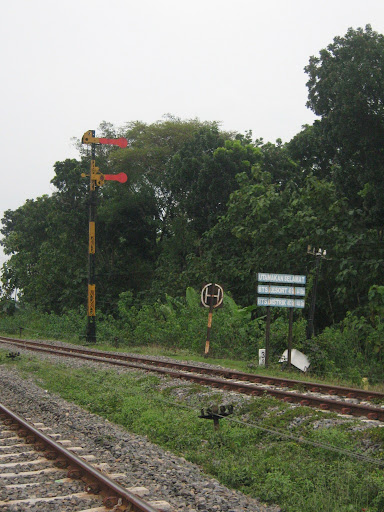 [Image: IMG_1974.JPG]