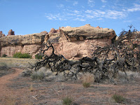 IMG_4605.JPG Photo