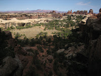 IMG_4611.JPG