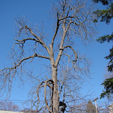 April 2, 2007