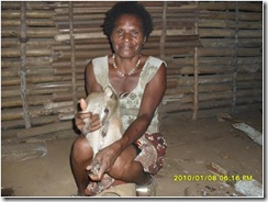 wallaby
