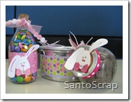 IMG_4543 IMG_4543