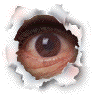 blinking_eye_flash