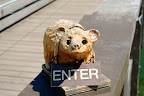 Jackson Hole, Wyoming,Park City, Canyonlands,Utah Slideshow