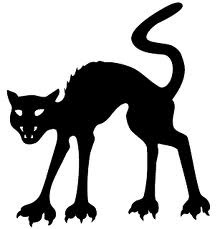 [pouncing cat[2].jpg]