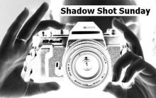 [Shadow Shot Sunday logo1[2].jpg]