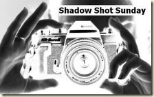 Shadow Shot Sunday logo1