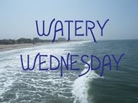 [WateryWed2b[2].jpg]
