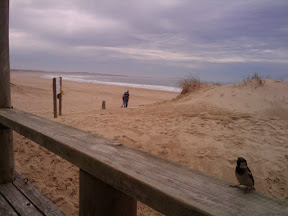 2009-11-01 12.55.17.jpg