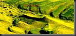 tabla flotante_2