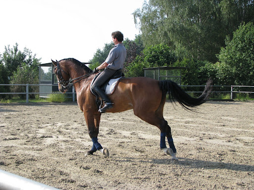 Asti Equestrian