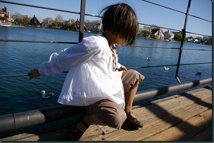 IMGP0818