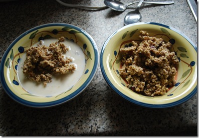 granola 019 granola 019