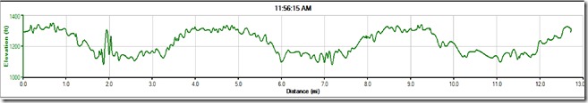 WTH Half Marathon Elevation