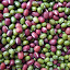 Assorted bean mix (Adzuki and Mung)