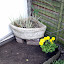 Happibun's Valhalla garden