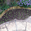 Happibun's The chamomile lawn garden