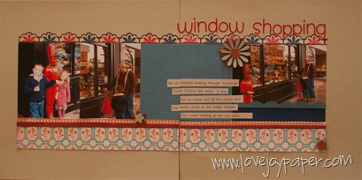 [window shoppingupload copy[4].jpg]