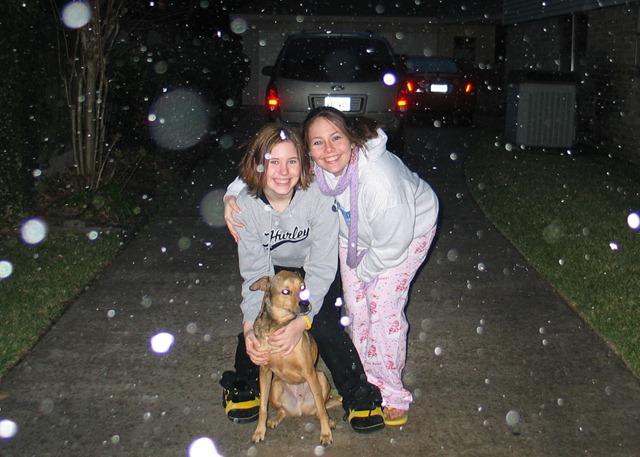 [Christmas 04[4].jpg]