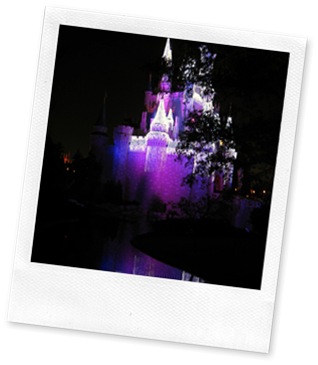 2007-11-23 001 2007-11-23 149