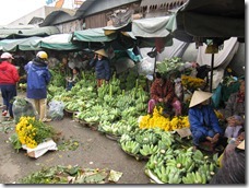 many bananas at a market