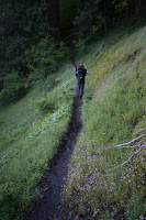 IMG_9293.JPG
