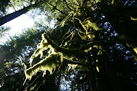 IMG_9455.JPG