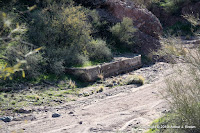 IMG_7173.JPG Photo