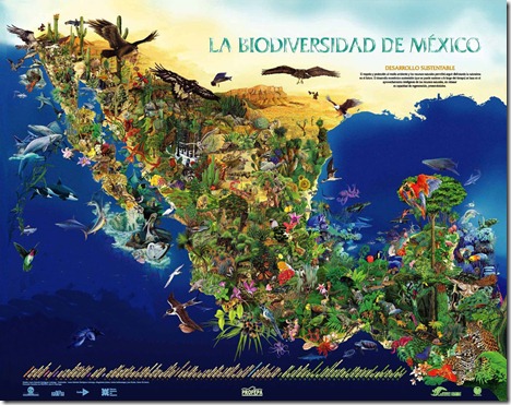 biodiversidad