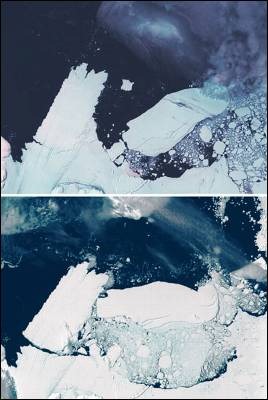 [1267203284098icebergdetalledn[4].jpg]