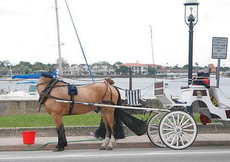 [a96986_a607_11horseheadless3.jpg]