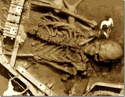 giantskeleton giantskeleton
