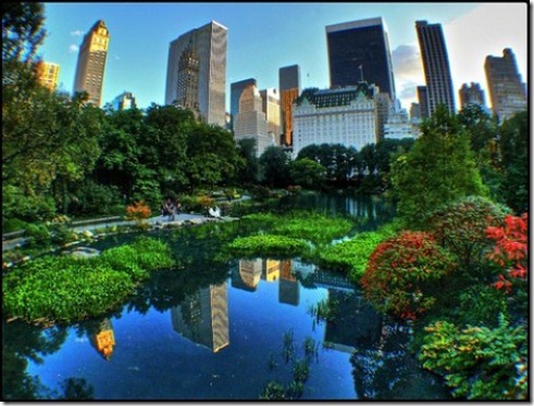 central park central park