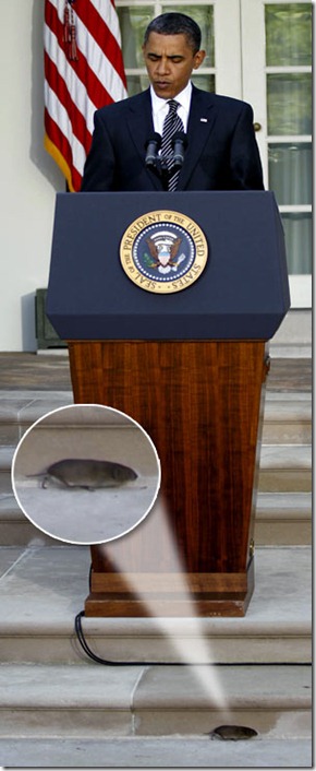 APTOPIX Obama Financial Overhaul APTOPIX Obama Financial Overhaul