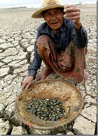 Korat, Thailand, 17 March 2005 – A few remaining shell catch for this elderly fisherwoman amidst scorching heat as waters in Lam Takong Dam in Korat, Nakhon Ratchasima province of Thailand have dried up due to prolonged drought. Greenpeace linked rising global temperatures and climate change to the onset of one of the worst droughts to have struck Thailand, Cambodia, Vietnam and Indonesia in recent memory.  Severe water shortage and damage to agriculture brought about by the severe drought has affected millions. Scientists from NASA recently warned that a weak El Nino combined with the impact of increasing greenhouse gas emissions from the use of fossil fuels such coal could make 2005 the hottest year since global temperature was recorded in the 1800s. Greenpeace/Sataporn Thongma
