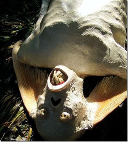 sv1