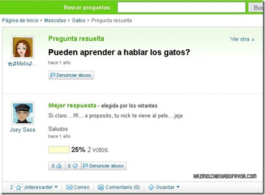yahoo1