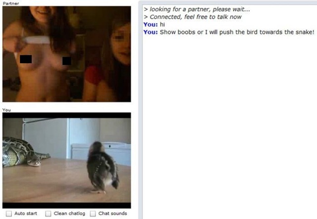 [chatroulette_03[1].jpg]