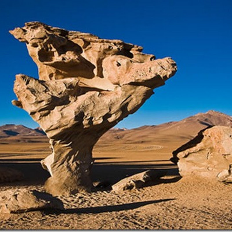 Potosí: Árbol de Piedra en la Reserva nacional Eduardo Abaroa