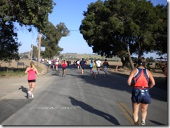 2010 SB Wine Country Half Marathon 010