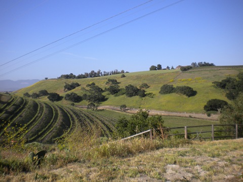 [2010 SB Wine Country Half Marathon 018[6].jpg]